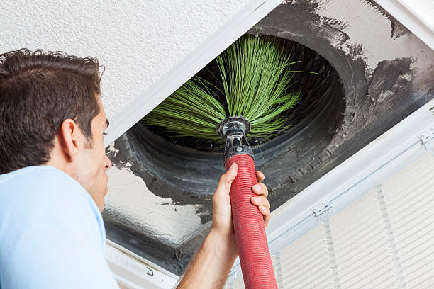 Best Affordable Duct Cleaning Services  in Wisr, NE